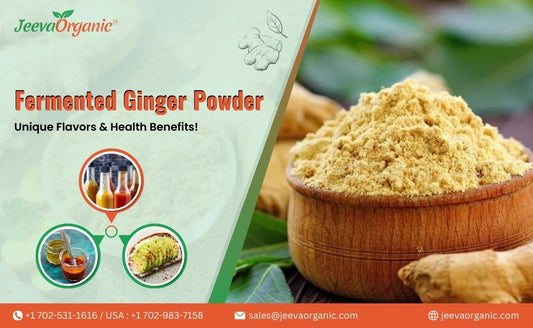 Level Up Your Sauces and Condiments with Fermented Ginger Powder