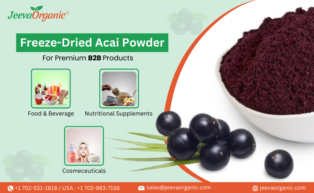 Preserving Nature's Goodness for Quality Product with Freeze-Dried Acai Powder