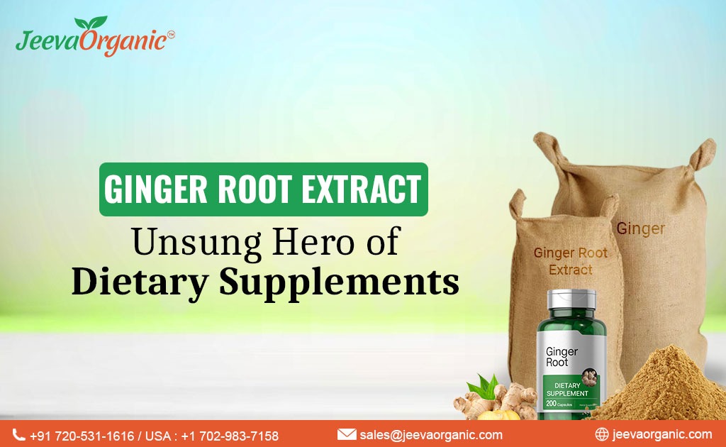 Ginger Root Extract: A Hidden Gem in Dietary Supplements