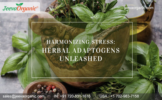 Herbal Adaptogens for Stress-Relief Formulations