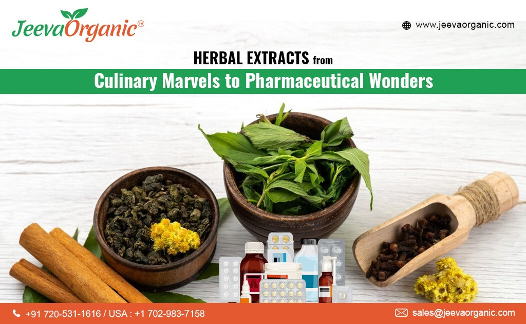 Innovative B2B Applications of?Natural Herbal Extracts?