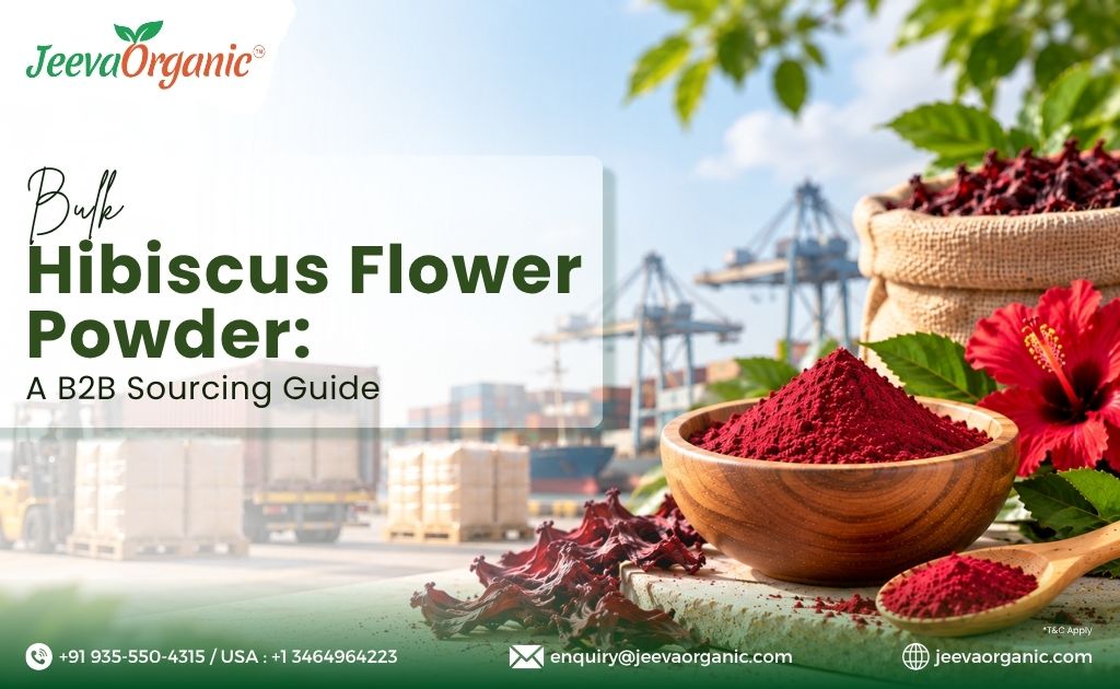 Banner for Jeeva Organic’s bulk hibiscus flower powder B2B sourcing guide, featuring hibiscus flowers, powder, and port background.
