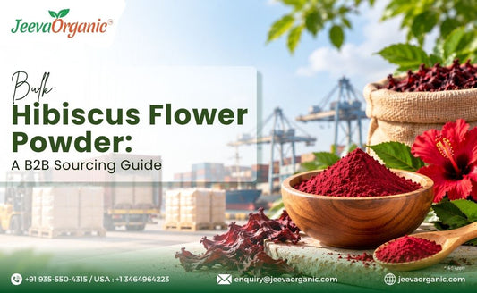 Banner for Jeeva Organic’s bulk hibiscus flower powder B2B sourcing guide, featuring hibiscus flowers, powder, and port background.