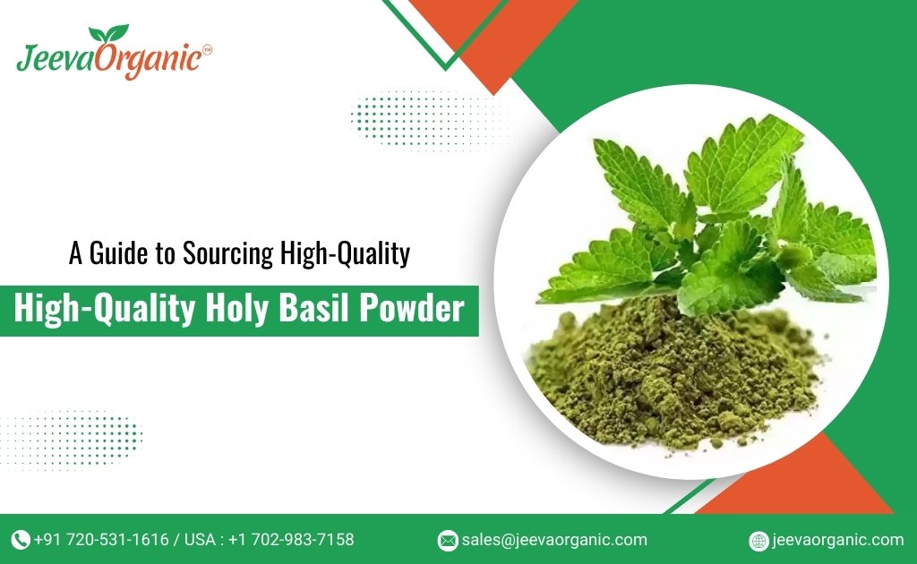 Basil Power Sourcing Strategies for High-Quality Holy Basil Powder