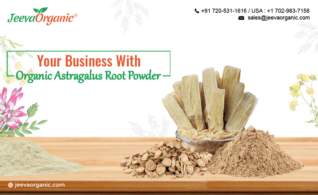 How Organic Astragalus Root Powder Can Benefit Your Business