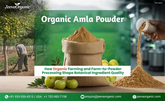 Organic Amla Powder advertisement showing amla fruits, a sack of powder, and powder being poured, highlighting organic farming and processing quality.
