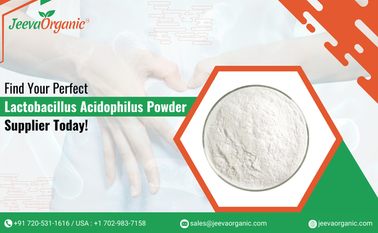 How to Choose the Right Supplier for Your Lactobacillus Acidophilus Powder Needs