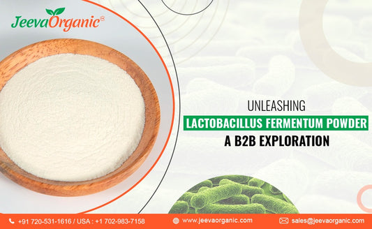 A B2B Dive into Lactobacillus Fermentum Powder's Multi-Industry Impact?