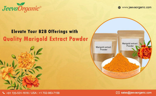 Quality Excellence In Marigold Extract Powder for B2B Industries?