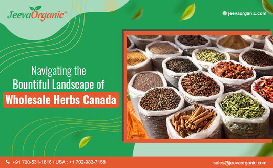 Navigating the Bountiful Landscape of Wholesale Herbs Canada