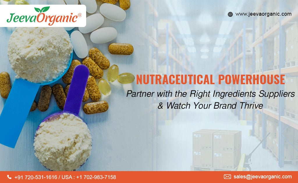 Building Strong Partnerships with Nutraceutical Ingredients Suppliers