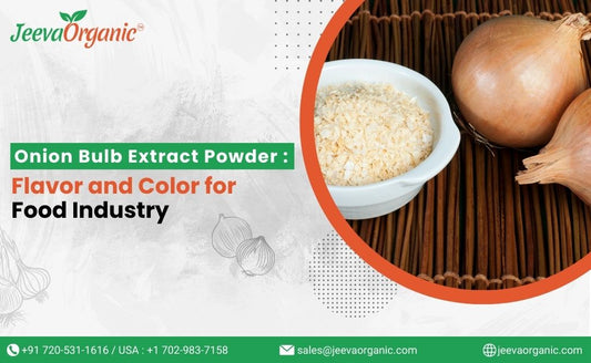 Onion Bulb Extract Powder: Flavor and Color for Food Industry