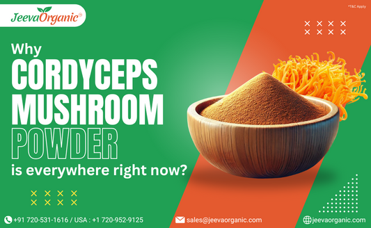 Cordyceps Mushroom Powder: Why It's a Staple in Modern Formulations