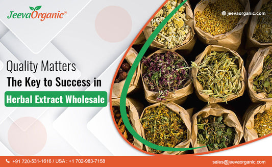 Quality Assurance in Herbal Extract Wholesale: Ensuring Excellence