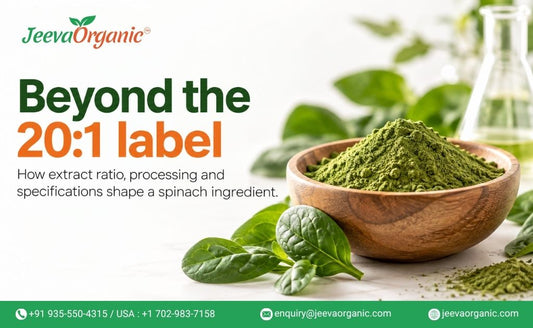 Spinach Extract vs. Spinach Powder: What Supplement Formulators Need to Know