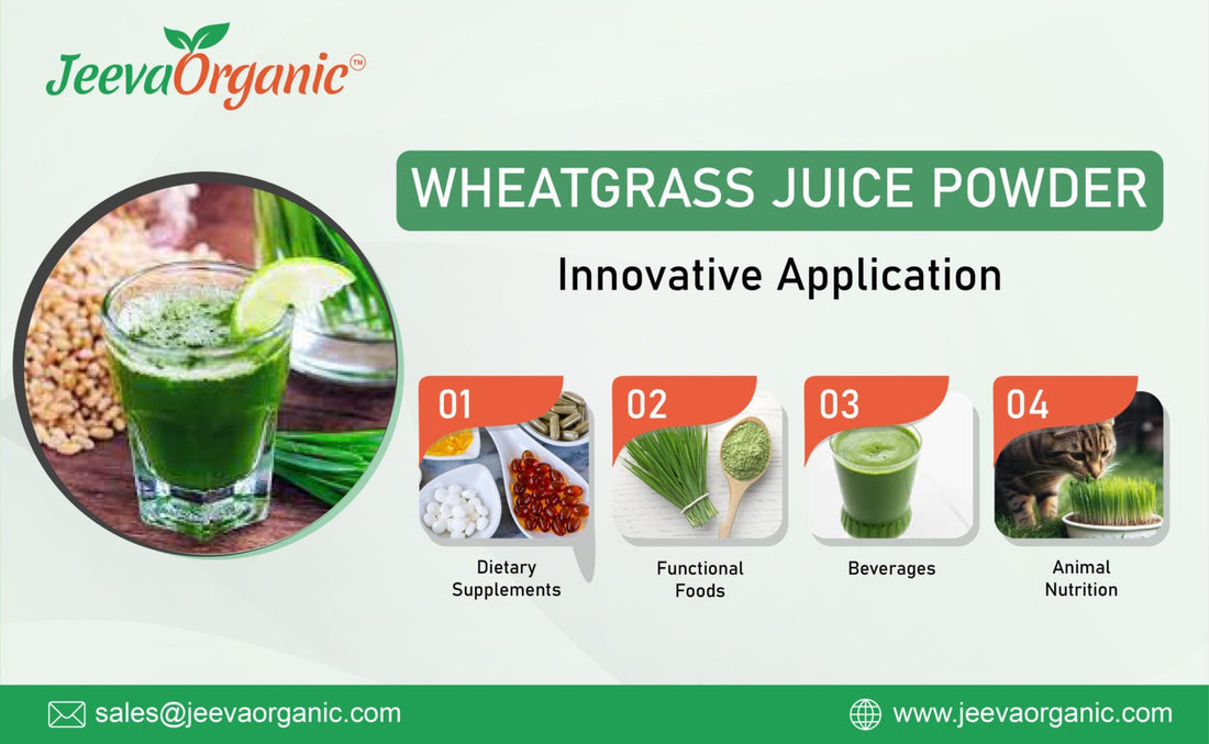 Wheatgrass Juice Powder: A Versatile Ingredient Powering Up Products