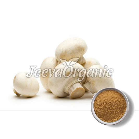 A pile of fresh white mushrooms beside a bowl of mushroom powder, branded "JeevaOrganic."