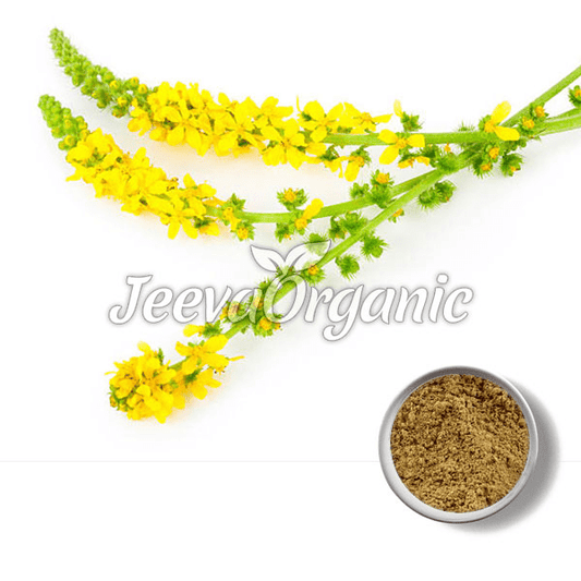 Agrimony Powder