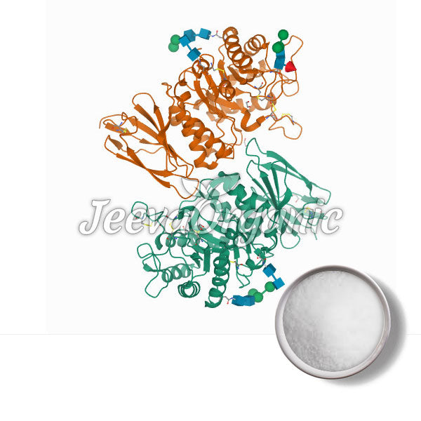 Alpha Galactosidase Powder