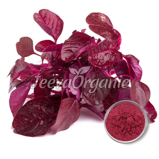 Amaranthus Leaf Extract Powder 9% Nitrates