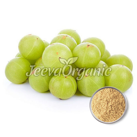 Amla Fruit Powder