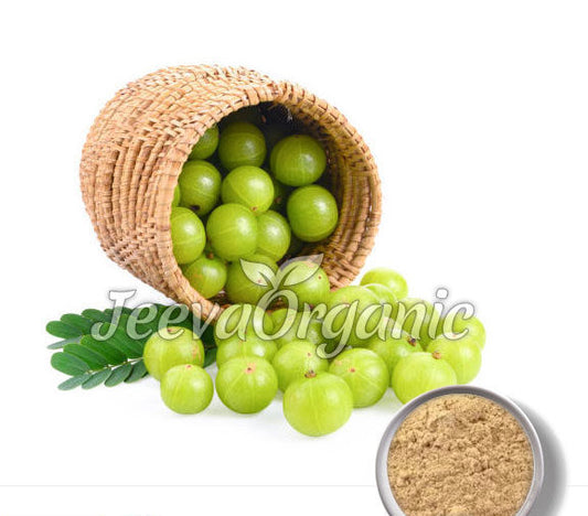 Amla fruit extract powder 25% vitamin C