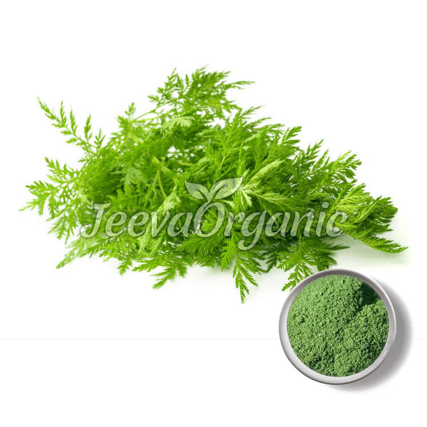 Artemisia Annua Powder