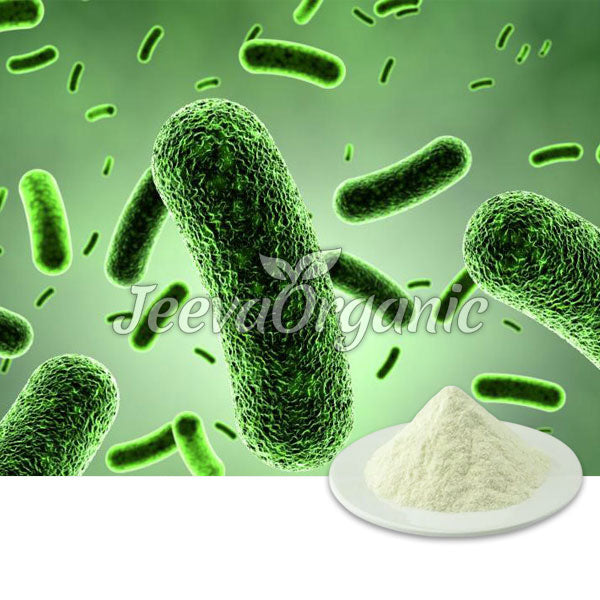 Bacillus Clausii Powder 5 B cfu/g