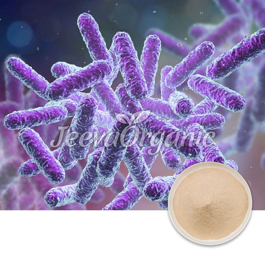 Bacillus Subtilis Powder