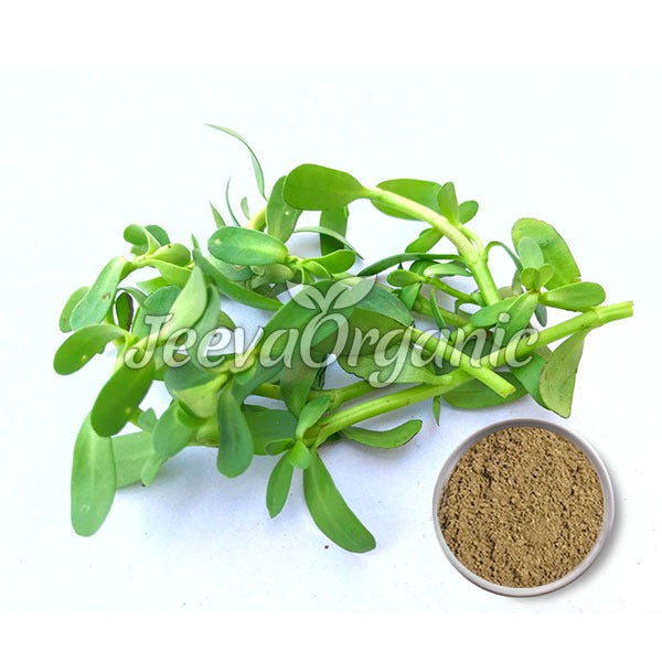 Organic Bacopa Powder