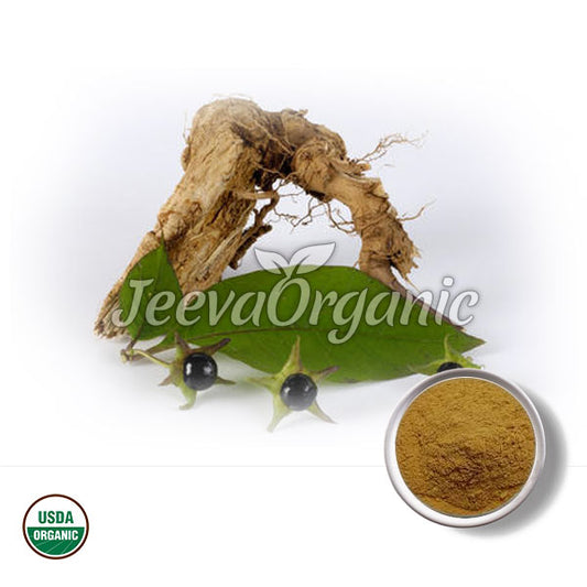 Organic roots, leaves, and berries arranged alongside a bowl of powdered spice, featuring the Jeeva Organic logo and USDA Organic seal.