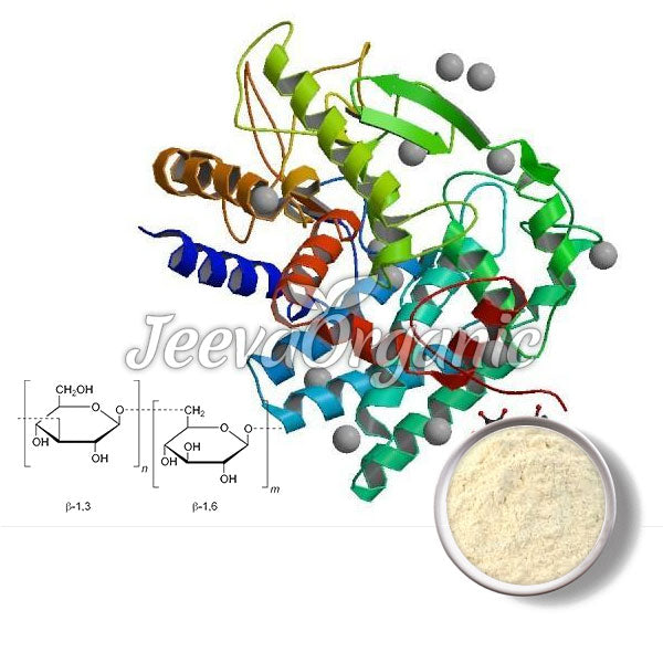 Beta Glucanase Powder Supplier | Bulk Beta Glucanase Powder