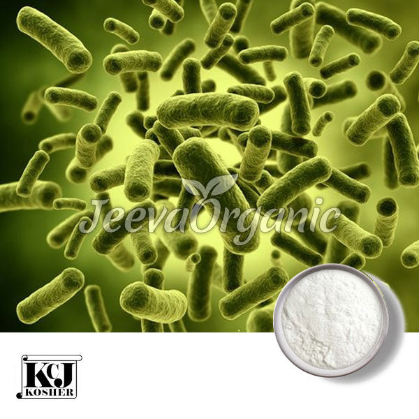 Bifidobacterium bifidum Powder 100 B cfu/g