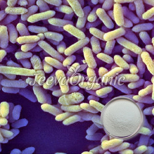 Bifidobacterium infantis Powder 50 B cfu/g