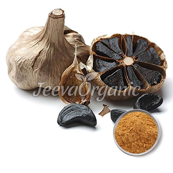 Black garlic extract powder 10:1