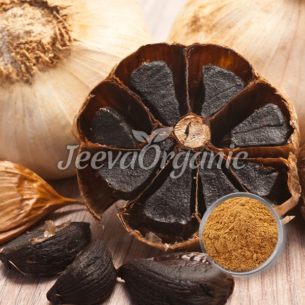 Black garlic extract powder 10:1