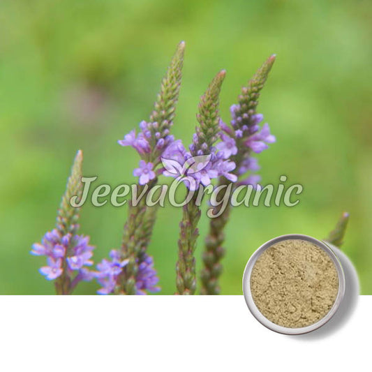 Blue Vervain Powder