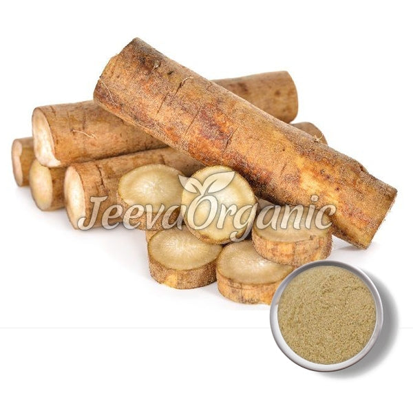 Organic Burdock Root Powder