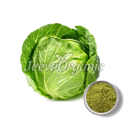 Cabbage Powder