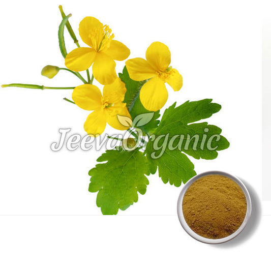 Celandine Powder