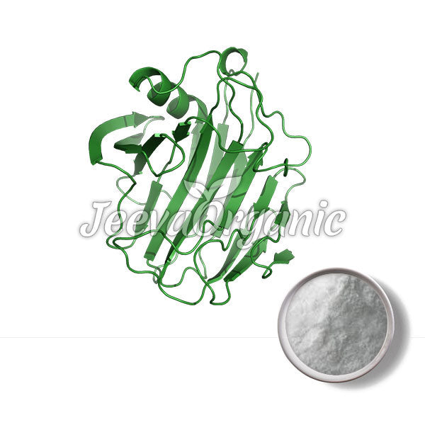 Cellulase Powder