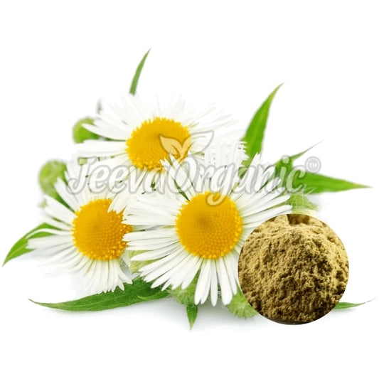 Three vibrant white and yellow flowers with green leaves beside a circular inset of brown herbal powder, labeled "JeevaOrganic."