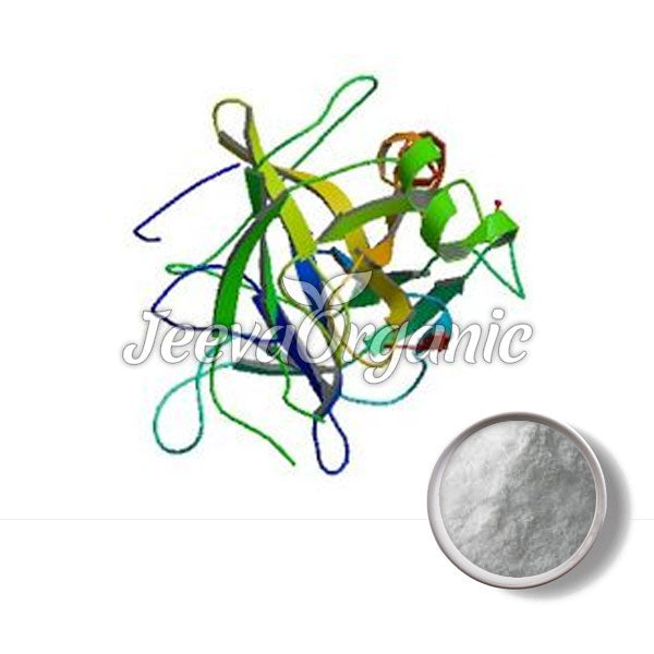 Chymotrypsin Powder Supplier India