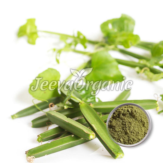 Cissus Extract Powder 40% Ketosterones