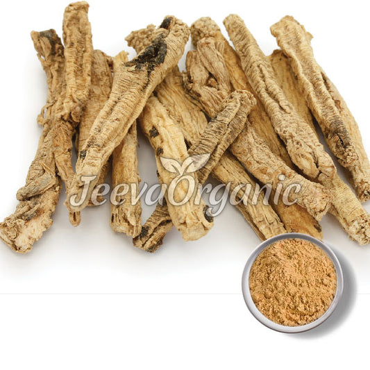 Codonopsis Root Extract Powder 10:1