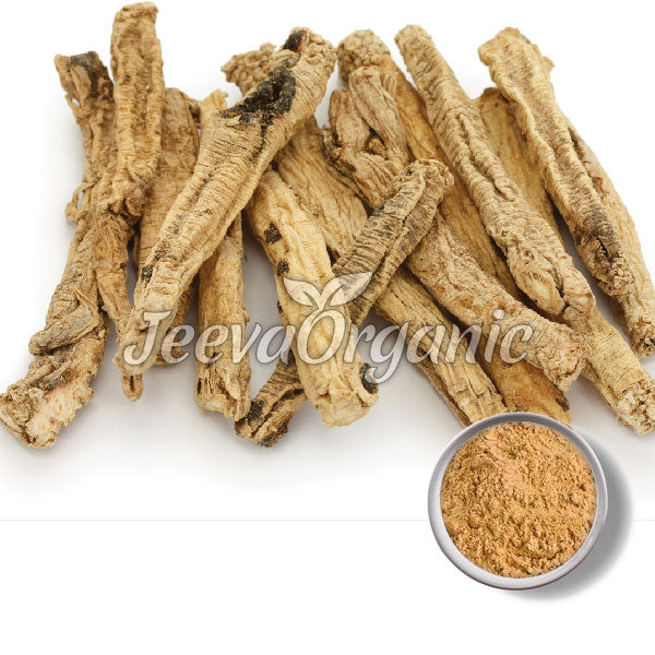 Bulk Codonopsis pilosula Powder Supplier