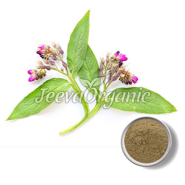 Comfrey Powder