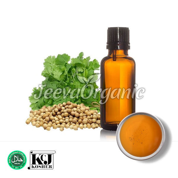  Coriander Oil (Coriandrum sativum)