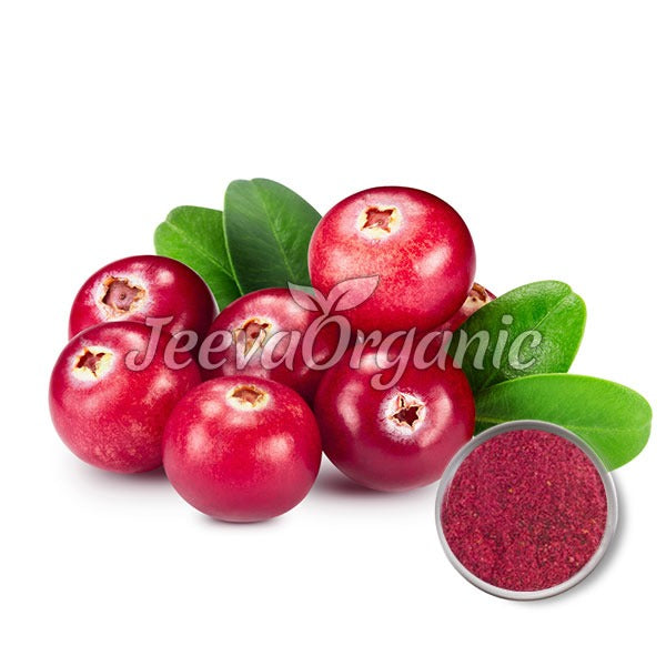 Cranberry Extract Powder 1% Proanthocyanidins