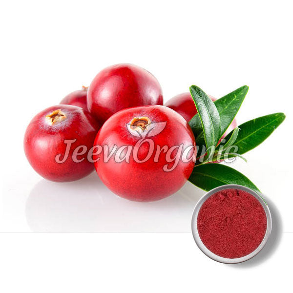 Cranberry Extract Powder 10:1